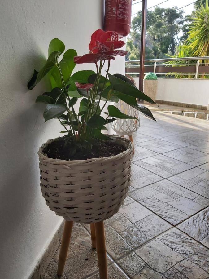 Machi Rooms باتيتيري المظهر الخارجي الصورة